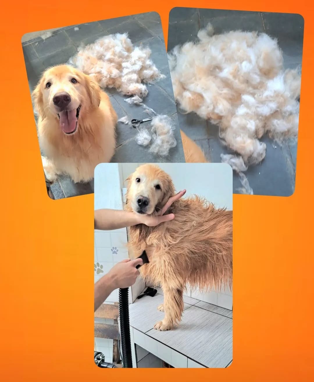 Remoção de sub-pelo